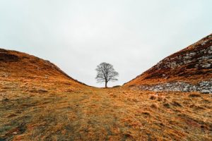 Giving Space