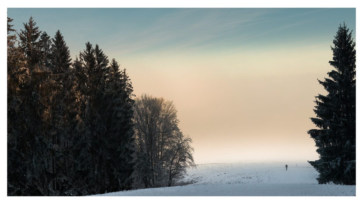 A lone walker crossing a misty field toward a soft golden horizon at dawn, a picture of finding where to go in life after losing your job.